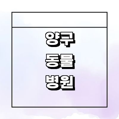 양구군 동물병원