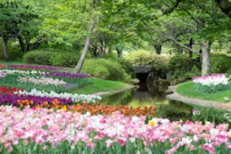 어린이날 축제 BEST 5, 국내여행지 추천