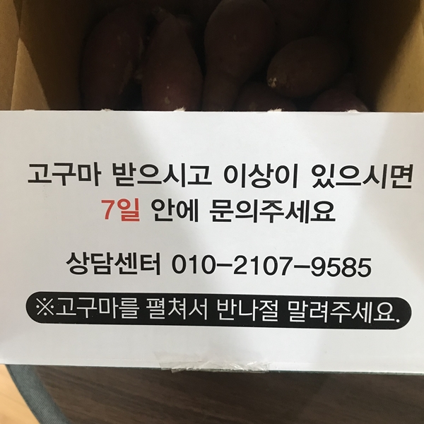 김의준 고구마 중 크기