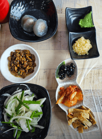 생방송 투데이 송어회 향어회 충북 충주