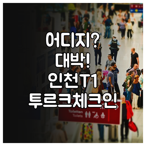 인천공항 제1터미널 투르크메니스탄 항..
