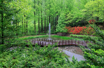 장태산 자연휴양림2