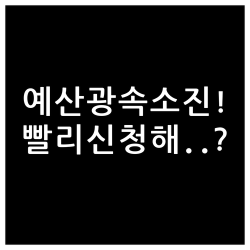 청년문화예술패스 지역별 예산 소진 주..