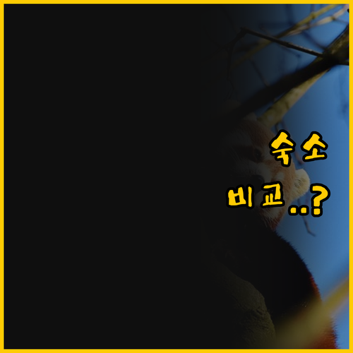 마카오 숙소 고민 하버뷰와 레전드 팰..