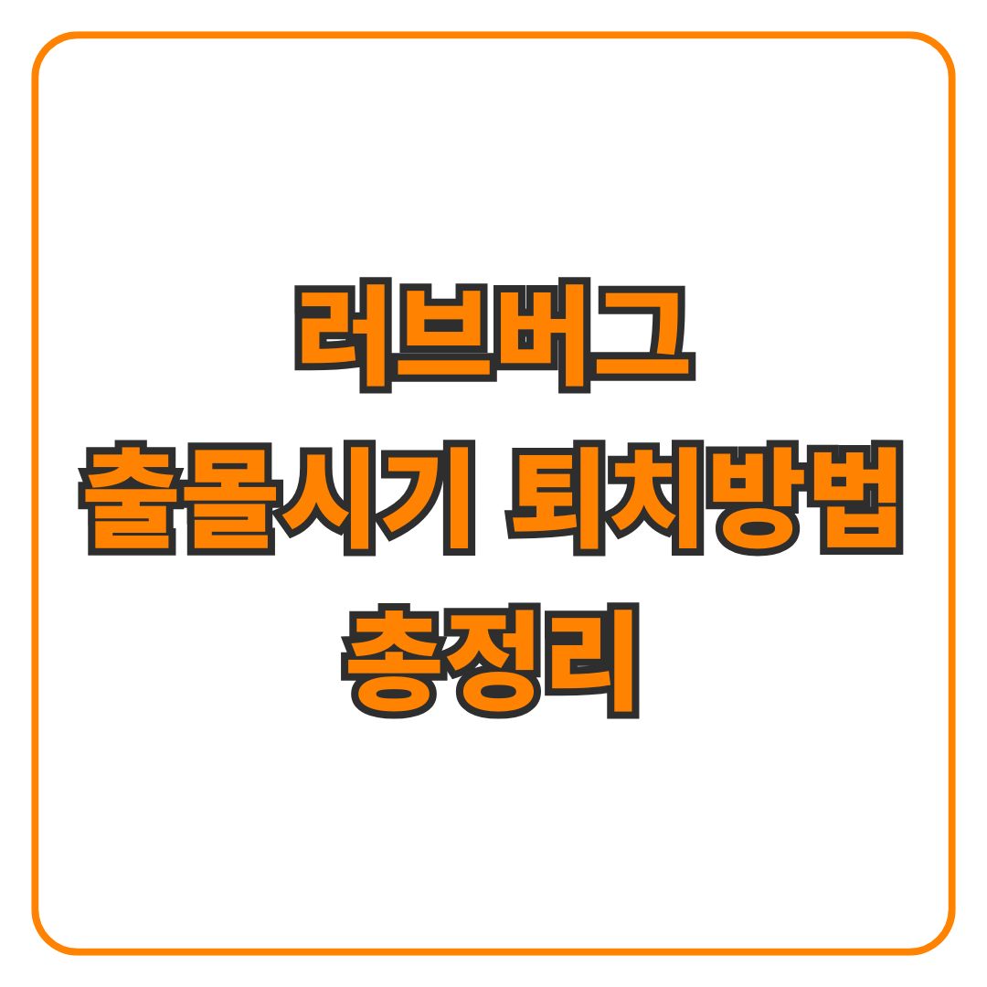 러브버그 출몰시기 퇴치방법 수명까지 총정리|2025 수도권 대처법