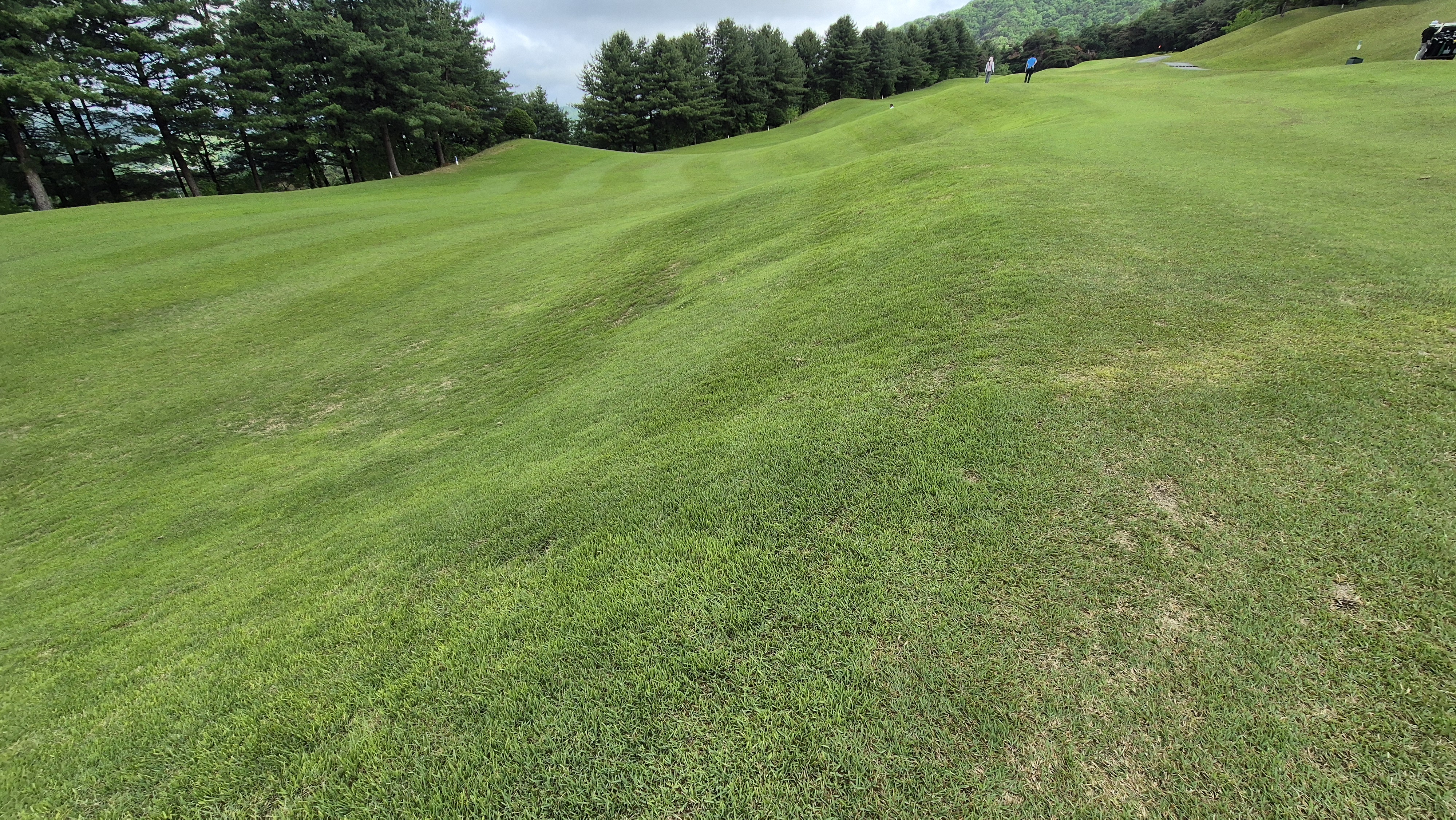 파크밸리gc 라운드 후기