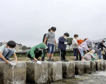 무주 반딧불 축제_18