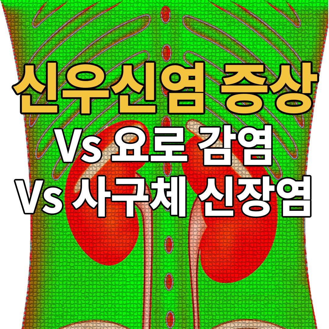 신우신염 증상 (Vs 사구체 신장염 - 요로 감염)