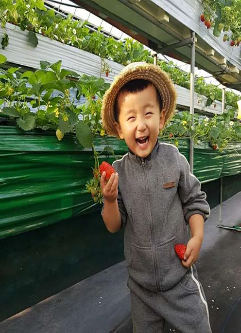 아기농부