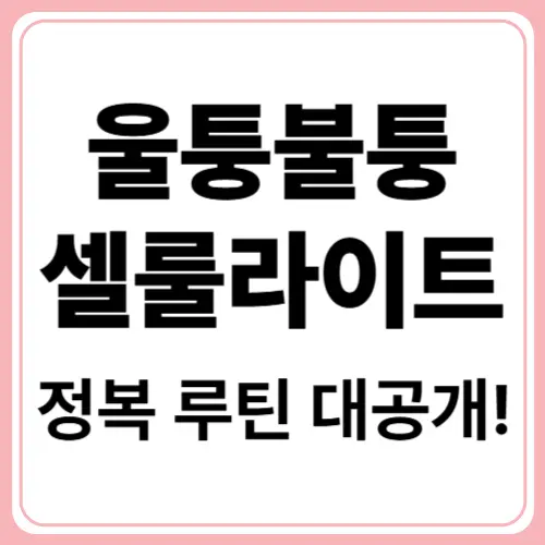울퉁불퉁 셀룰라이트! 레드 라이트로 정리하는 방법 🌹