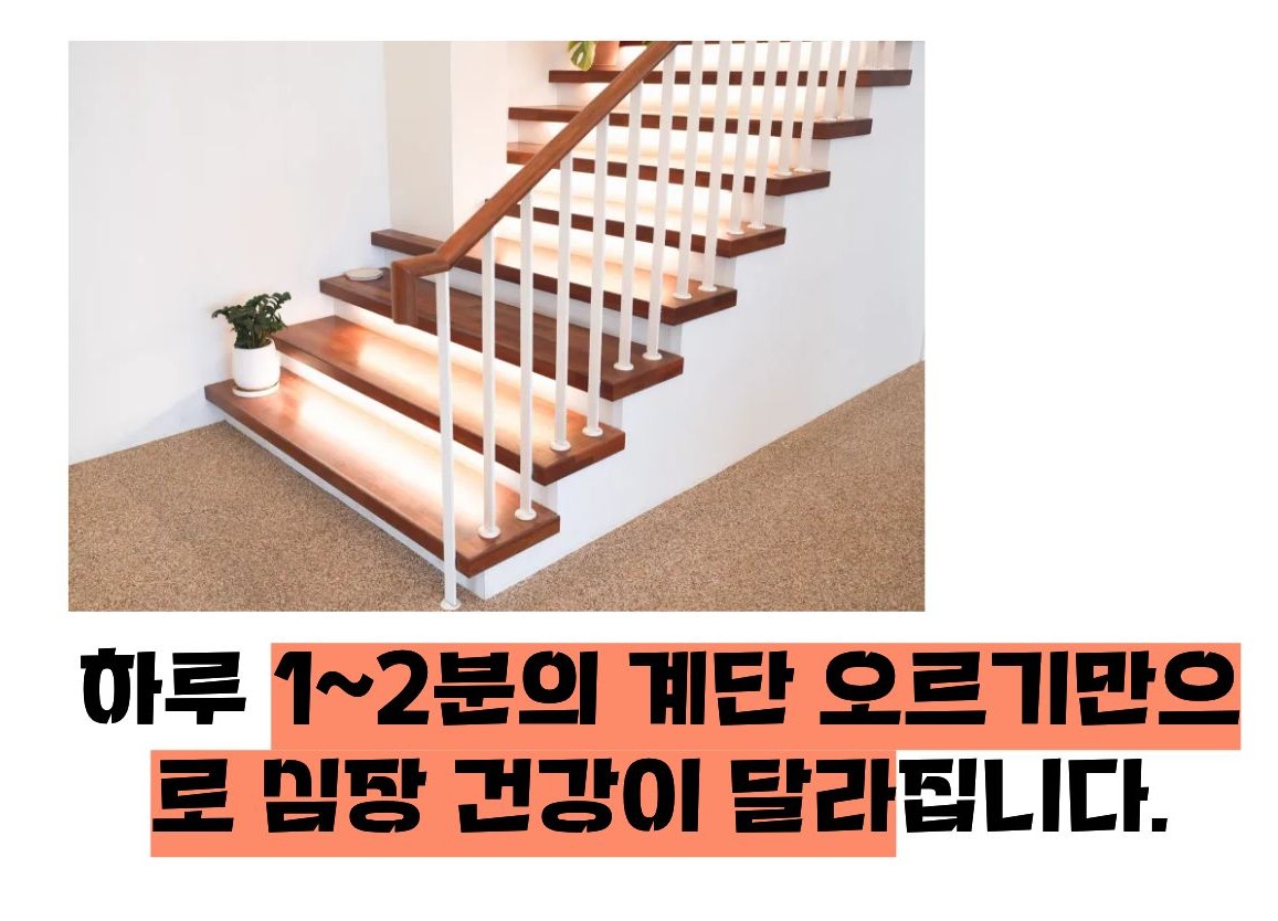 계단오르기 운동효과 