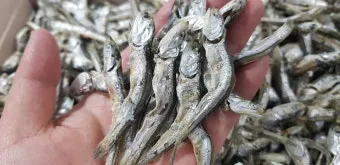 6월 제철 횟감 맛집 어디서 먹는 게 가장 맛있을까요 지역별 상세 추천_16