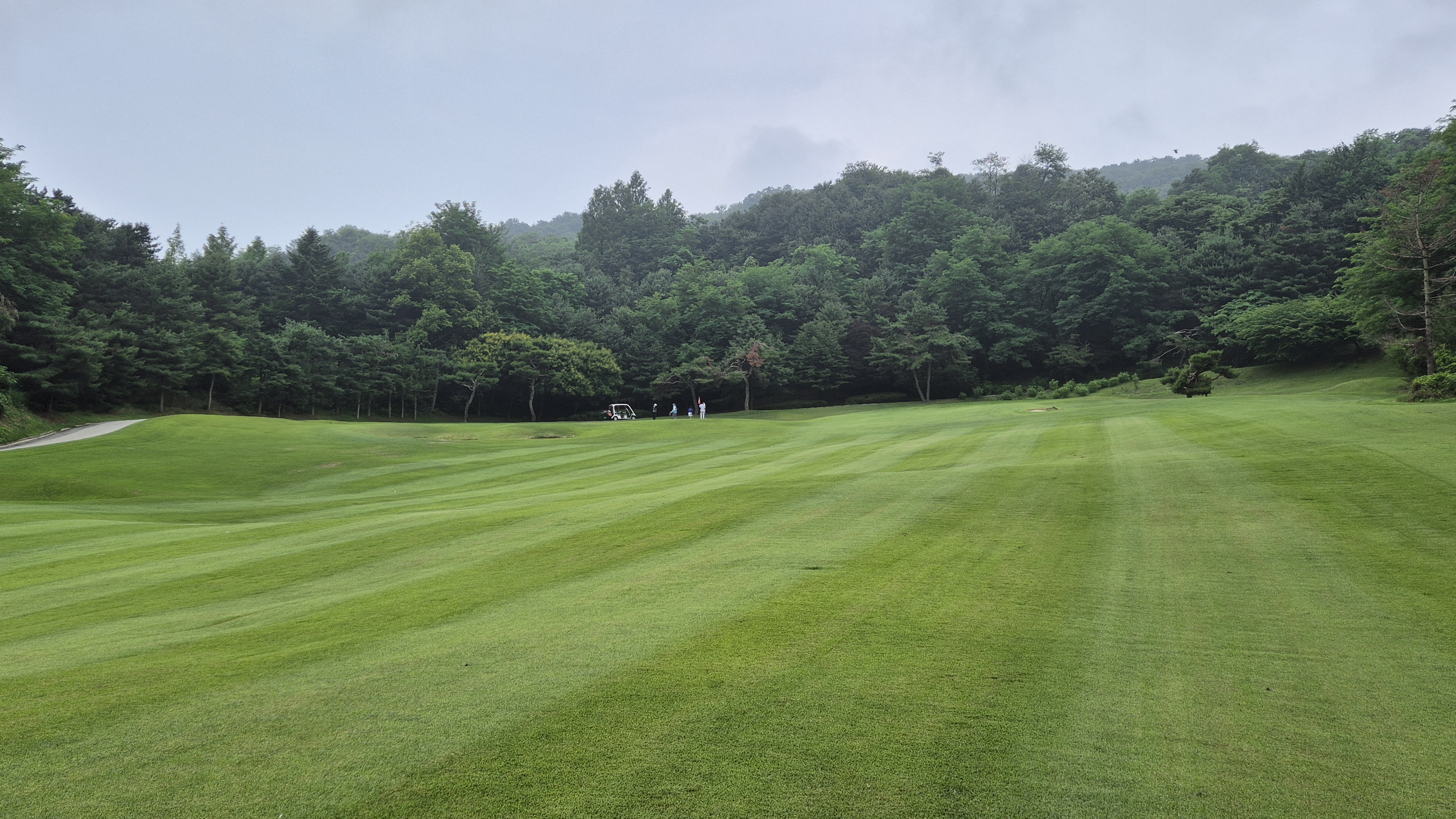 뉴스프링빌cc 공략 정보