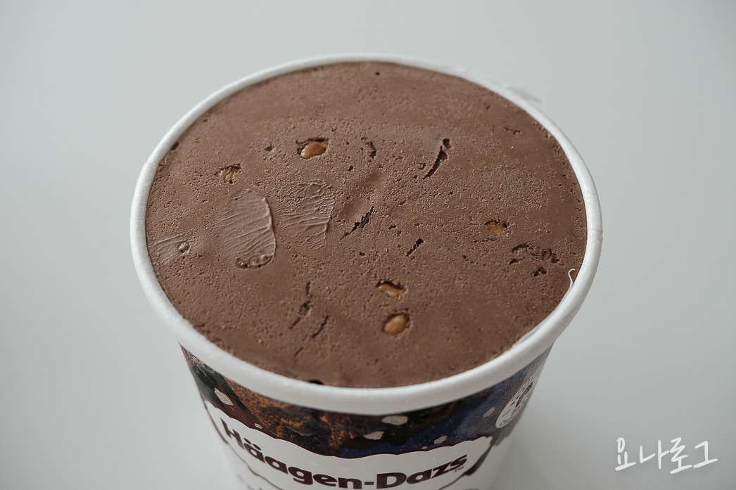 하겐다즈 하겐다즈초콜릿 초코아이스크림 초코디저트 초콜릿디저트 다크초코 다크초콜릿 초콜릿 다크초코아이스크림 다크초콜릿가나슈앤아몬드 내돈내산 내돈내산리뷰 아이스크림리뷰 아이스크림추천 하겐다즈추천 간식 간식추천