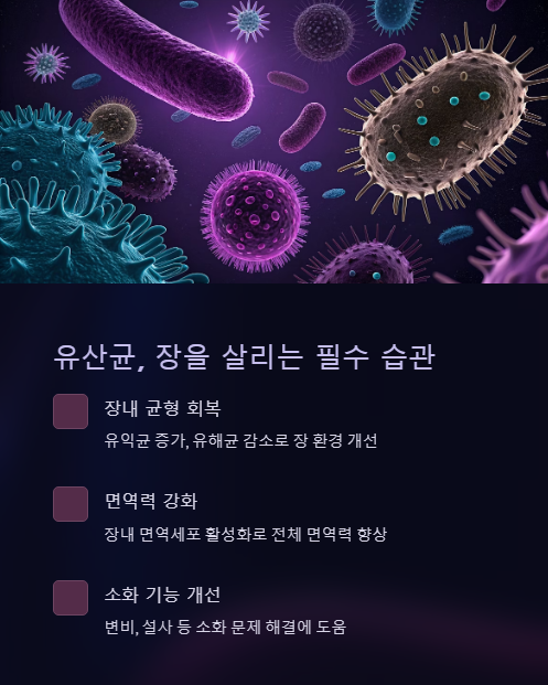 유산균 장을 살리는 필수 습관