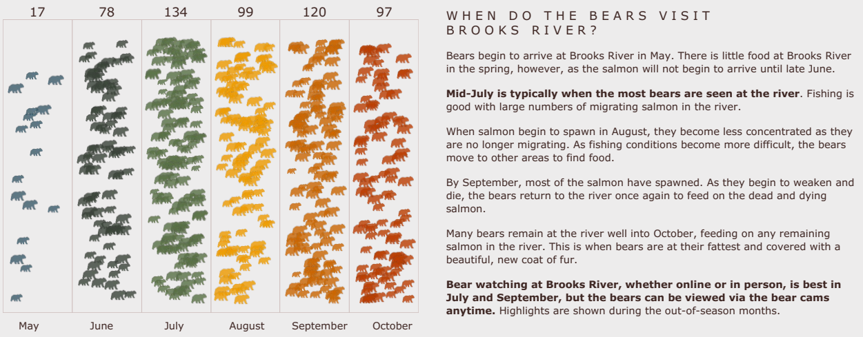 When do the bears visit brooks river?