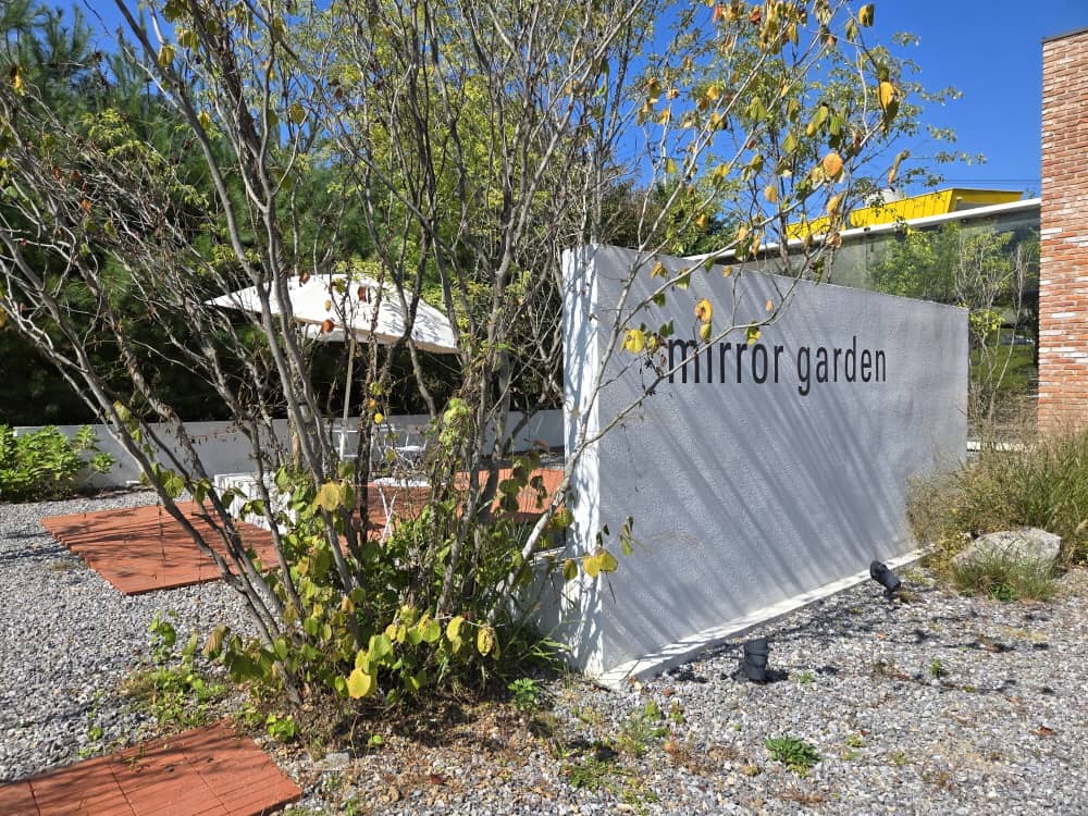 가평 나무아래오후