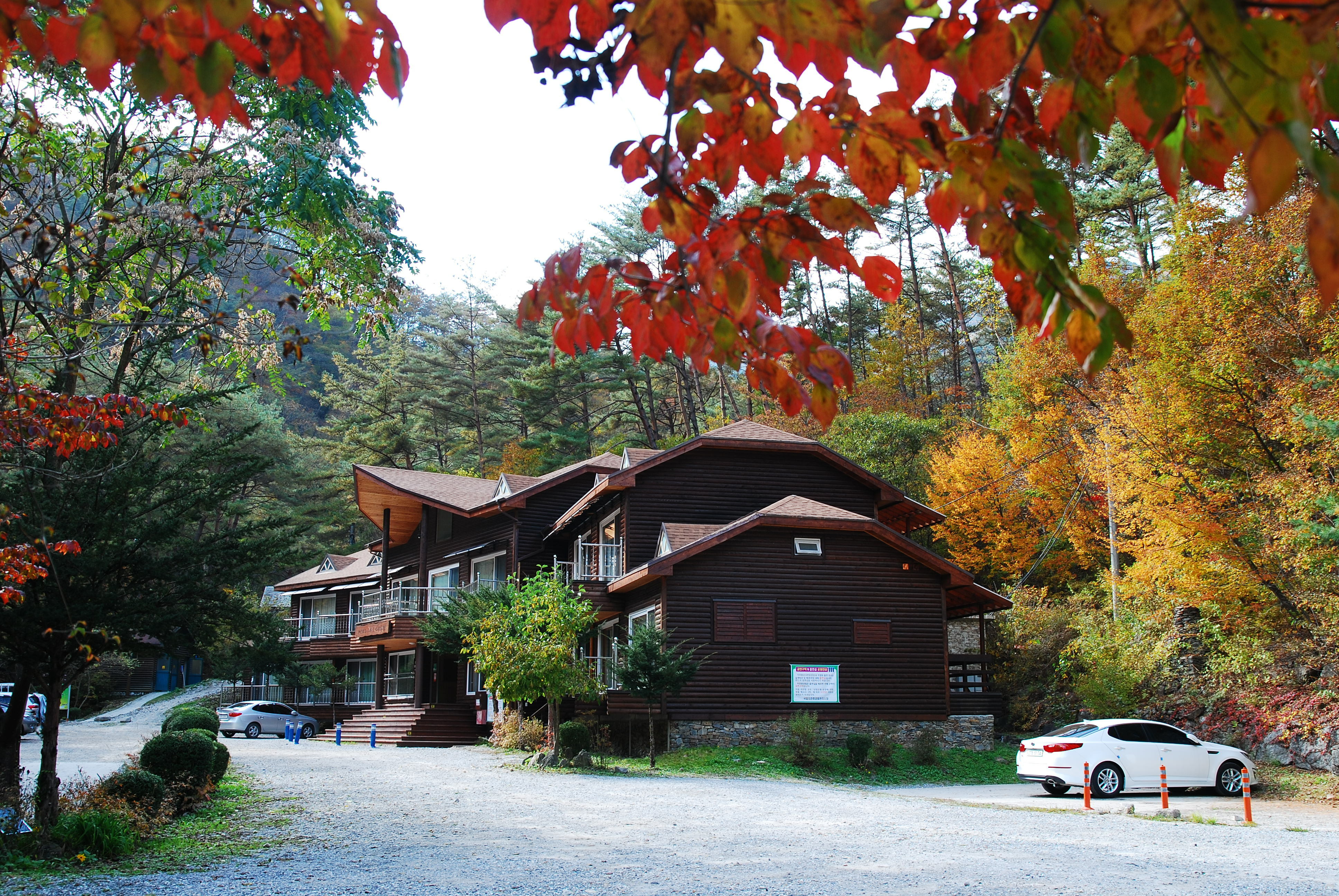 ๊ฐ์๋ ๊ฐ๋ฆฌ์์ฐ ์์ฐํด์๋ฆผ ์ฃผ๋ณ ๋ง์ง ์นดํ ์ ์ ํน์ฐ๋ฌผ ์์ธ ์ค์ผ์ฅ ๊ฐ์์ง ๋๋ฐ ์ ๋ณด