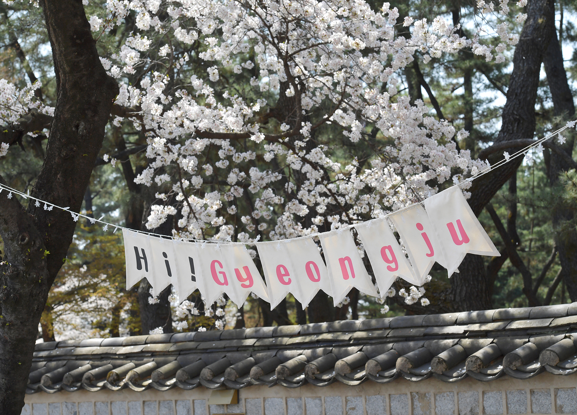 대릉원 돌담길 축제 관련사진