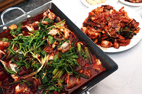 서천마량리 동백나무숲