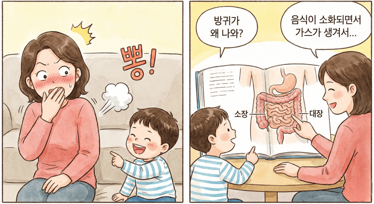 방귀는 어떻게 나와?, 방귀가 궁금한 아이,방귀가 만들어지는 과정