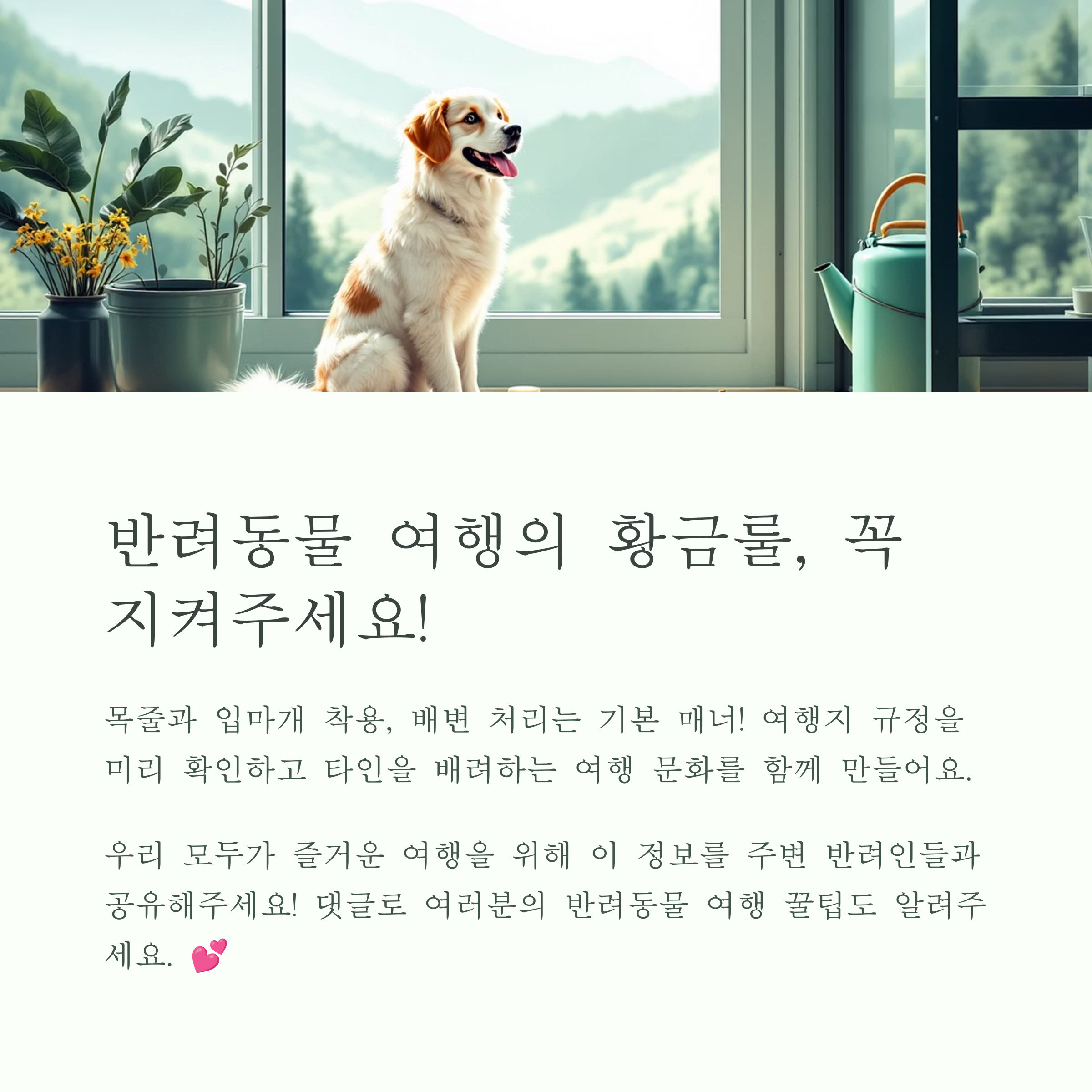 반려동물과 여행할때 꼭 지켜주세요.
