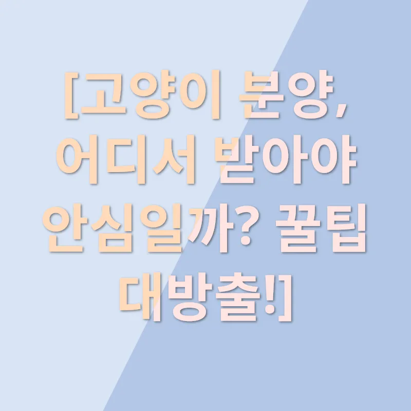 냥이 집사 로망 실현_3
