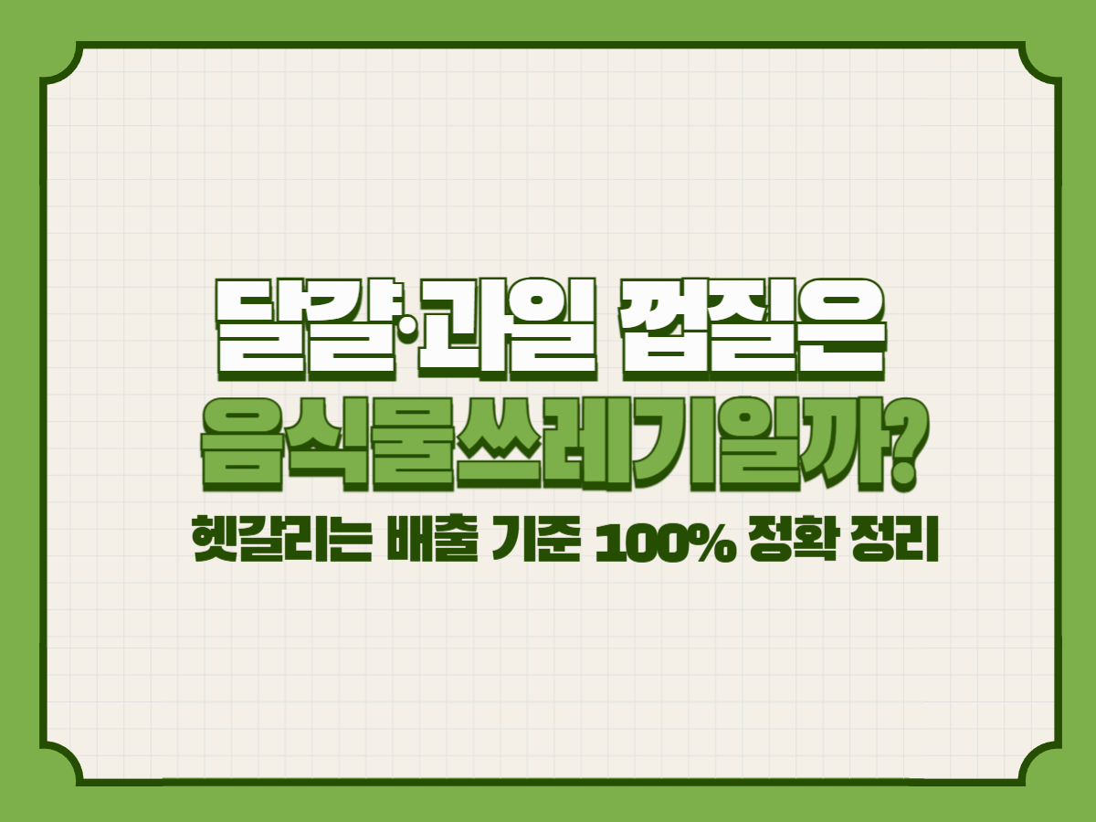 달걀·과일 껍질은 음식물쓰레기일까? 헷갈리는 배출 기준 100% 정확 정리
