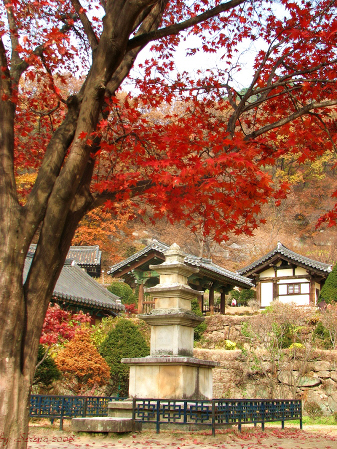 단풍놀이