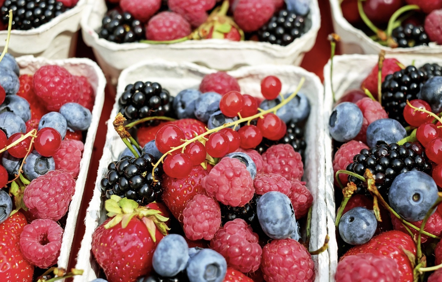 항산화에 좋은 베리류의 과일 사진