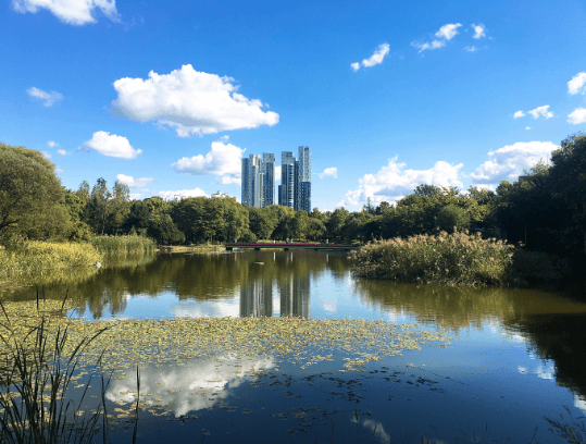 건물과 함께 있는 서웊숲