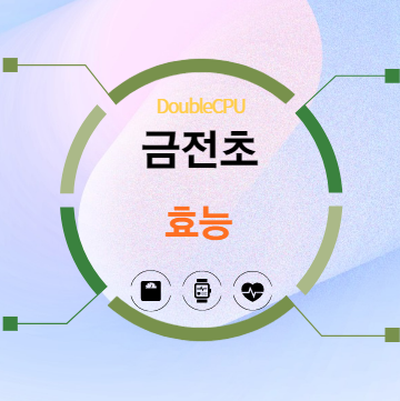 금전초 효능 탐구