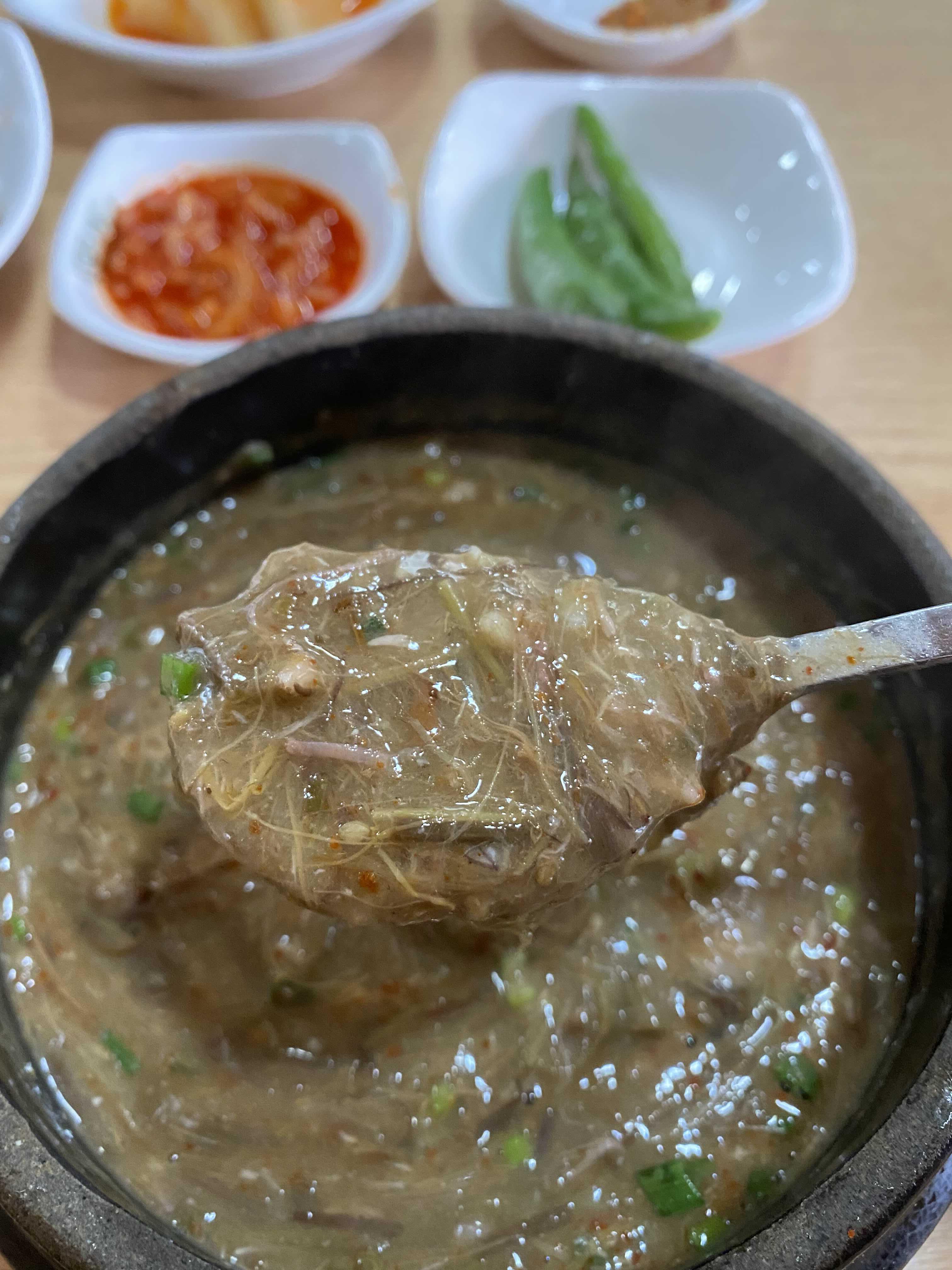 짭조름하고 구수한 고사리육개장