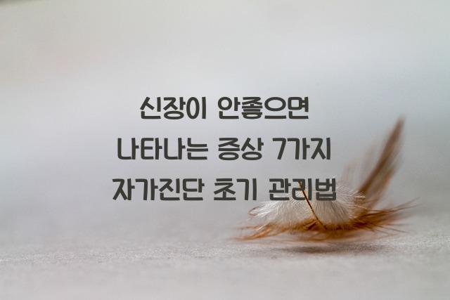 신장이 안좋으면 나타나는 증상