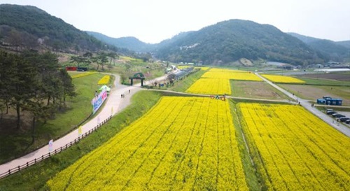 화순봄꽃축제