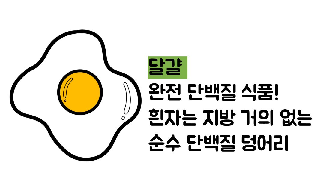 단백질 많은 음식