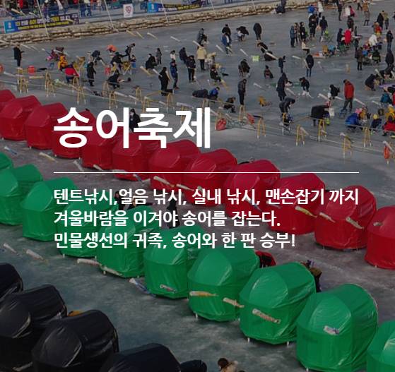 평창 송어 축제 일정 홈페이지 메인화면
