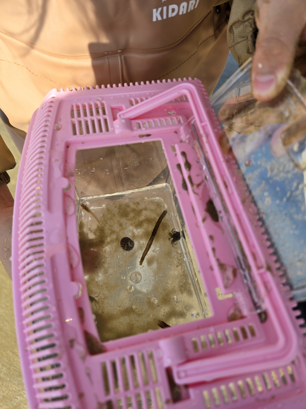 잡은것들을 넣어놓는 어항