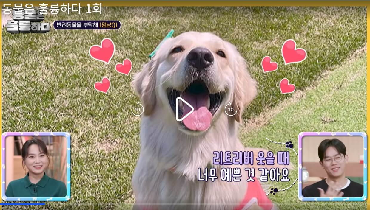 동물은-훌륭하다-동훌륭-1회