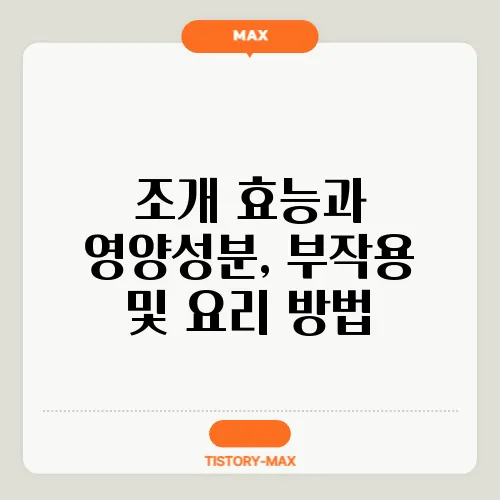 조개 효능과 영양성분, 부작용 및 요리 방법