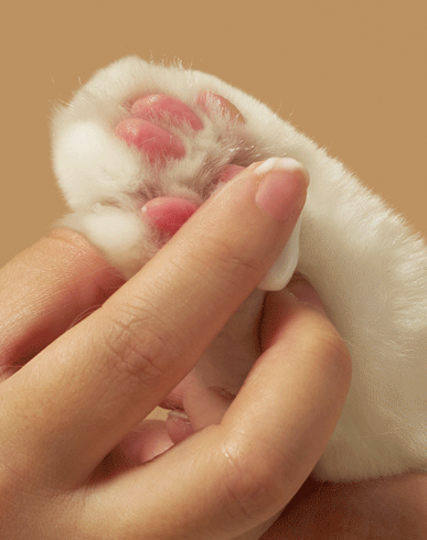 미우타임즈 고양이 모래