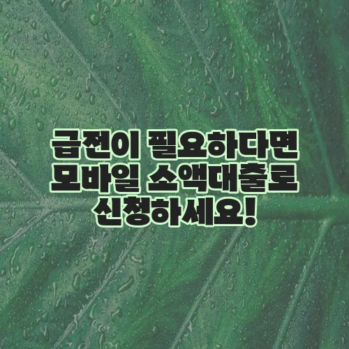 급전이 필요하다면 모바일 소액대출로 신청하세요!
