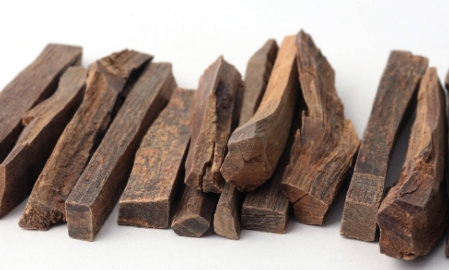 야생에서 채취를 한 침향을 토막을 낸 것을 하얀 바닥 위에 10여개 놓아두고 찍은 사진