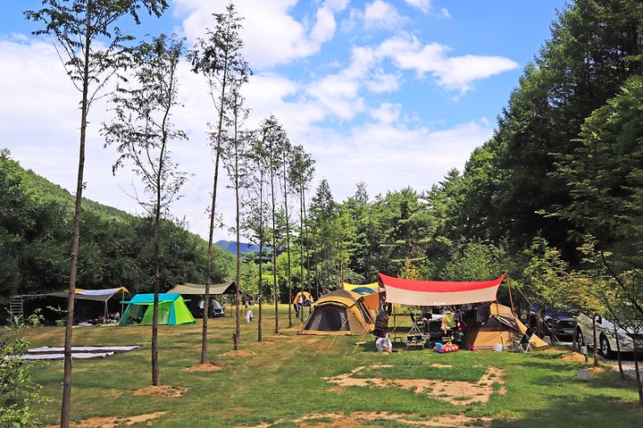 ์์ ํผ๋
ธํค์ค ์์ฐํด์๋ฆผ ์บ ํ์ฅ ์ง๋ ์ฃผ๋ณ ๋ง์ง ์นดํ ๋งํธ ์์ฅ ํน์ฐ๋ฌผ ๊ฐ์์ง ๋๋ฐ ์ฌํ ์ ๋ณด