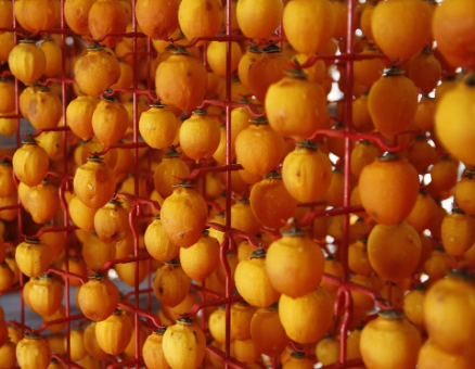 KBS 6시내고향 문경 약돌한우&amp;#44; 외가곶감&amp;#44; 속초횟집&amp;#44; 전통식초 초산정 