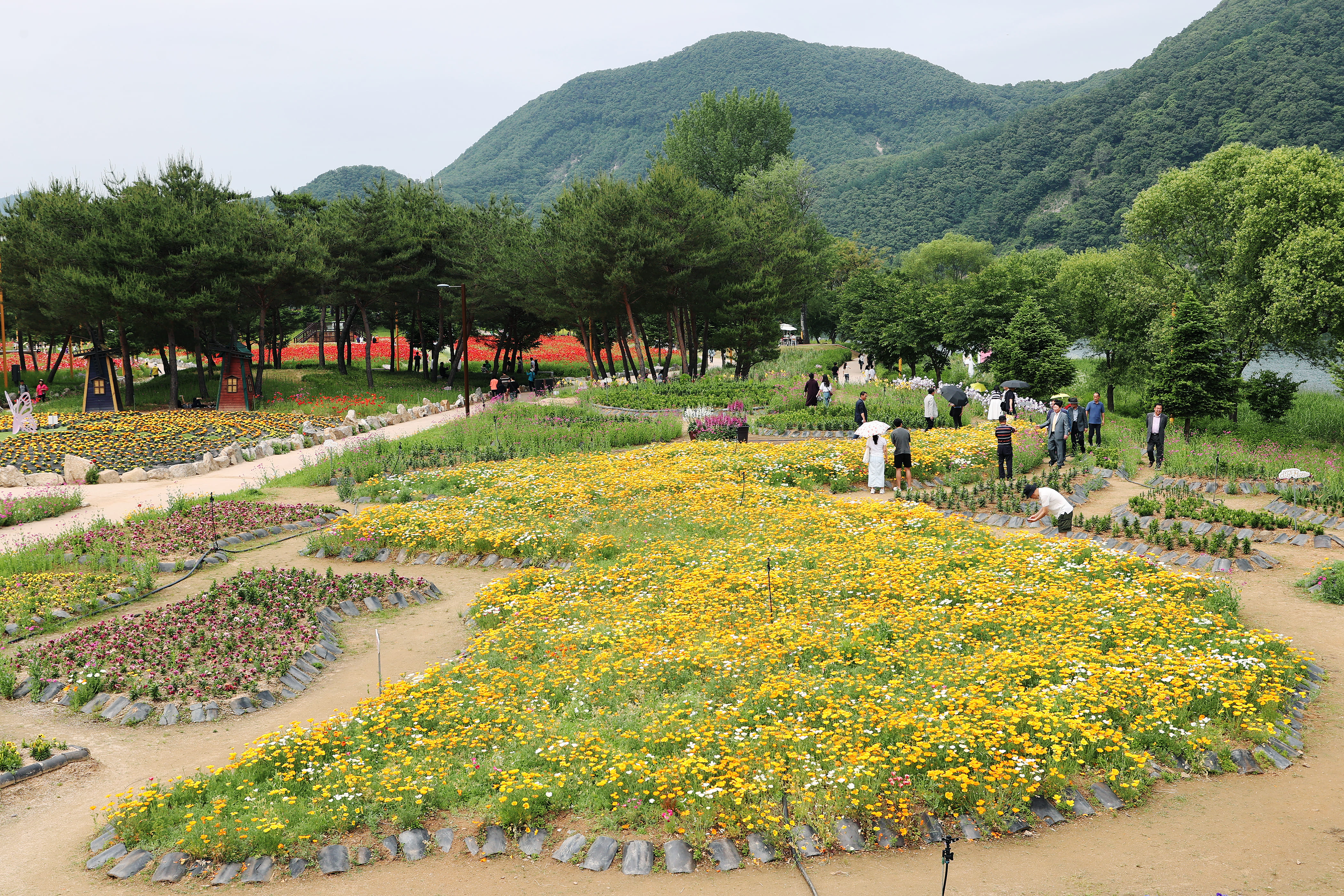 자라섬 2025년 5월 축제 완벽 가이드— 경기도민체육대회부터 꽃 페스타까지, 가평 봄나들이 총정리