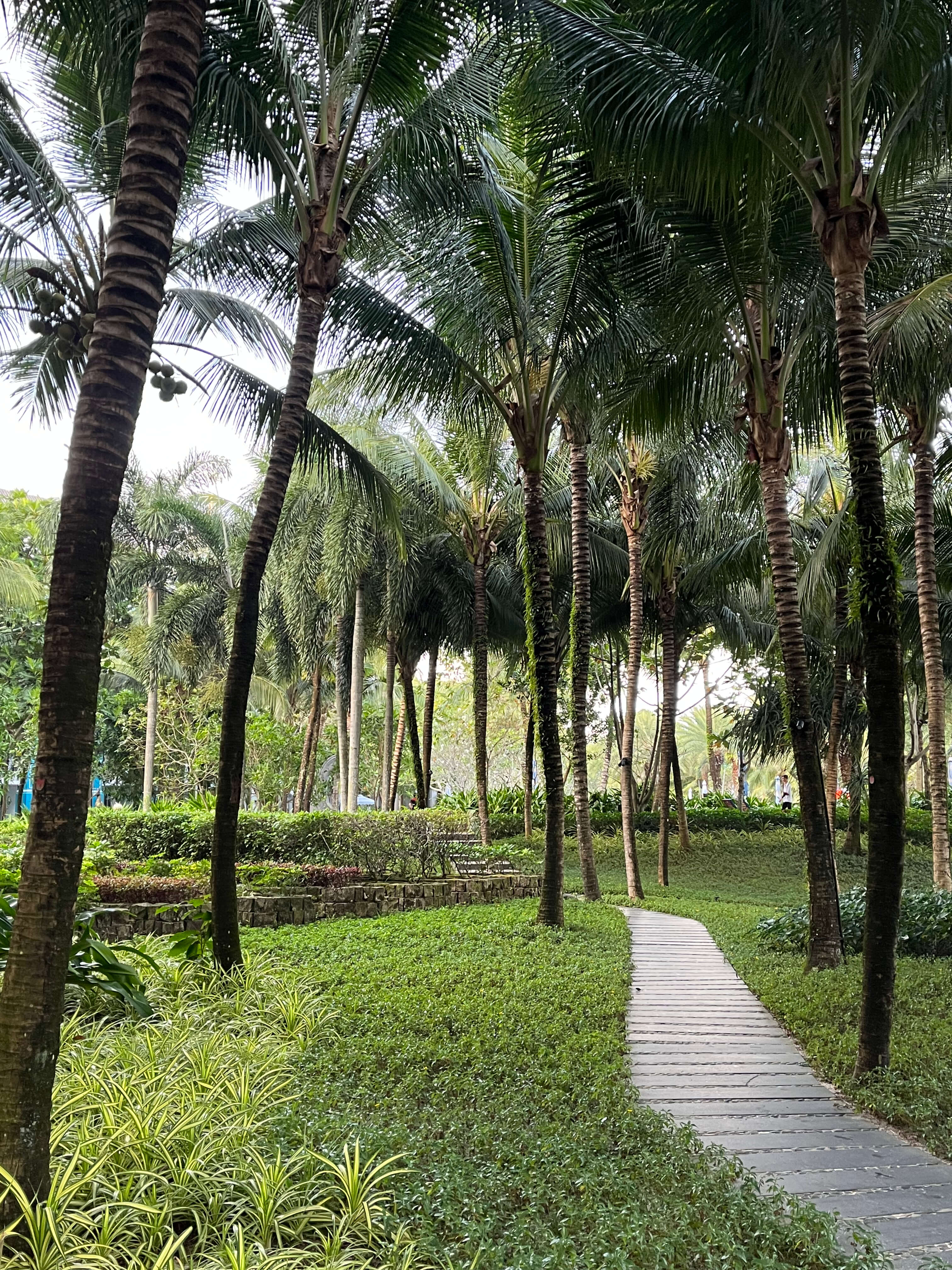 푸꾸옥 jw메리어트 호텔