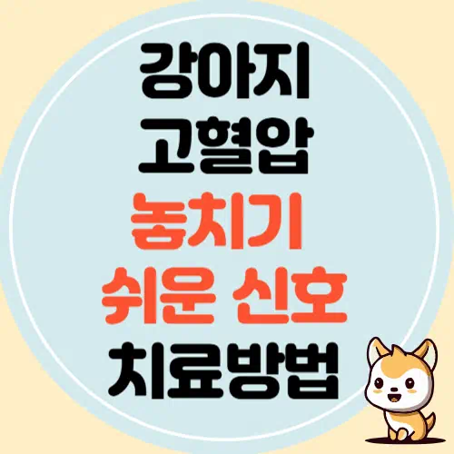 강아지 고혈압, 놓치기 쉬운 신호와 치료방법
