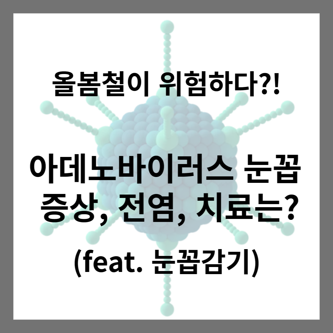 아데노바이러스-눈꼽-증상-전염-치료