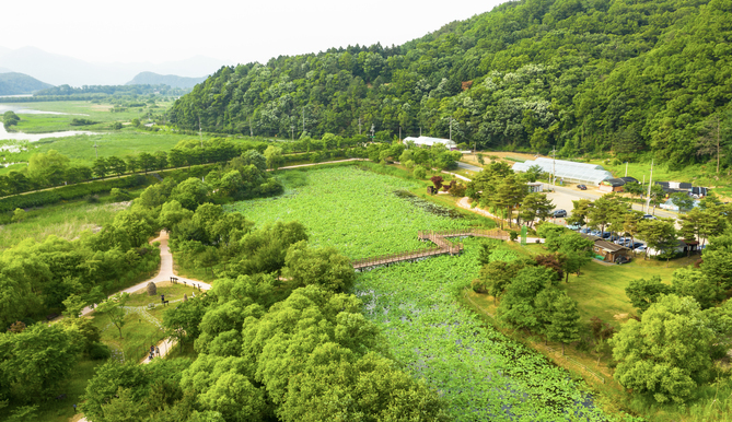 경안천 습지생태공원 이미지